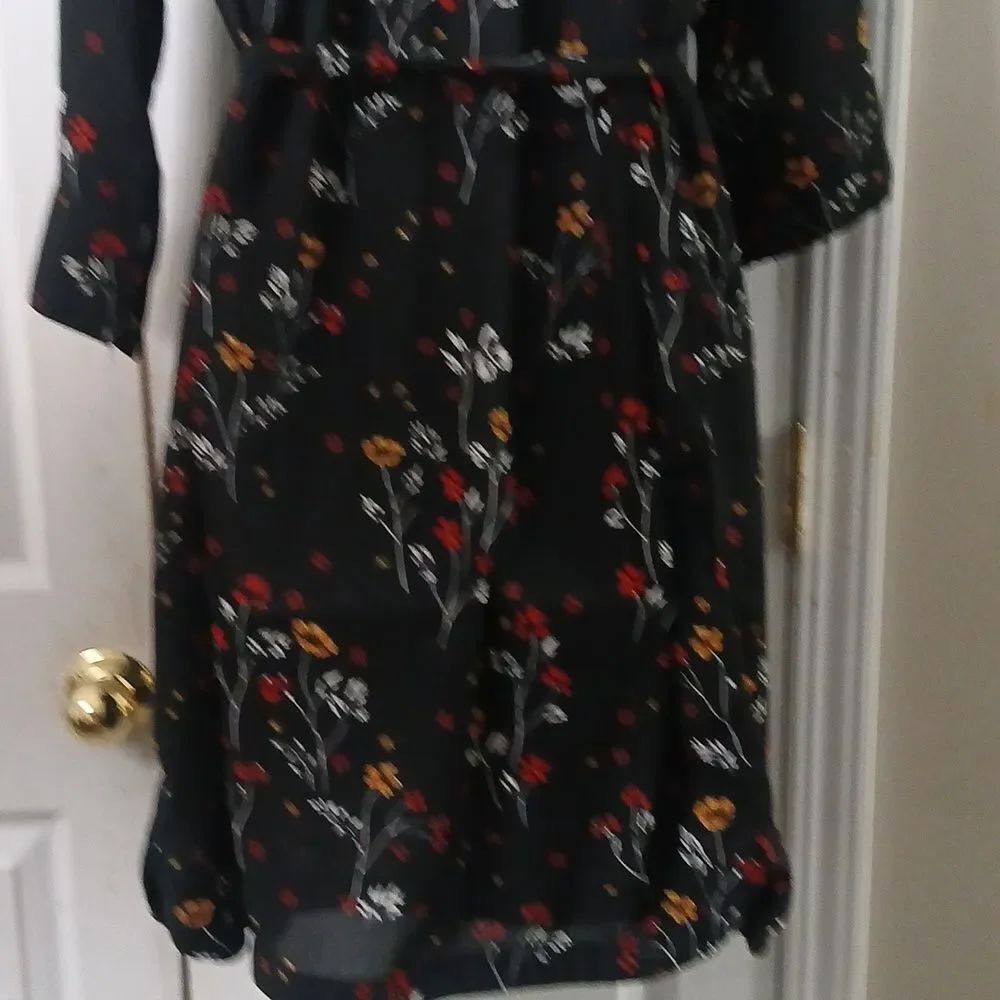 BLL New York sheer Black Floral Dress with tie waist Sz XL NWOT - Picture 6 of 8